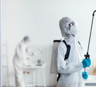 Roach exterminator Las Vegas